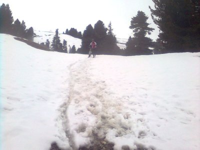 Bild0054